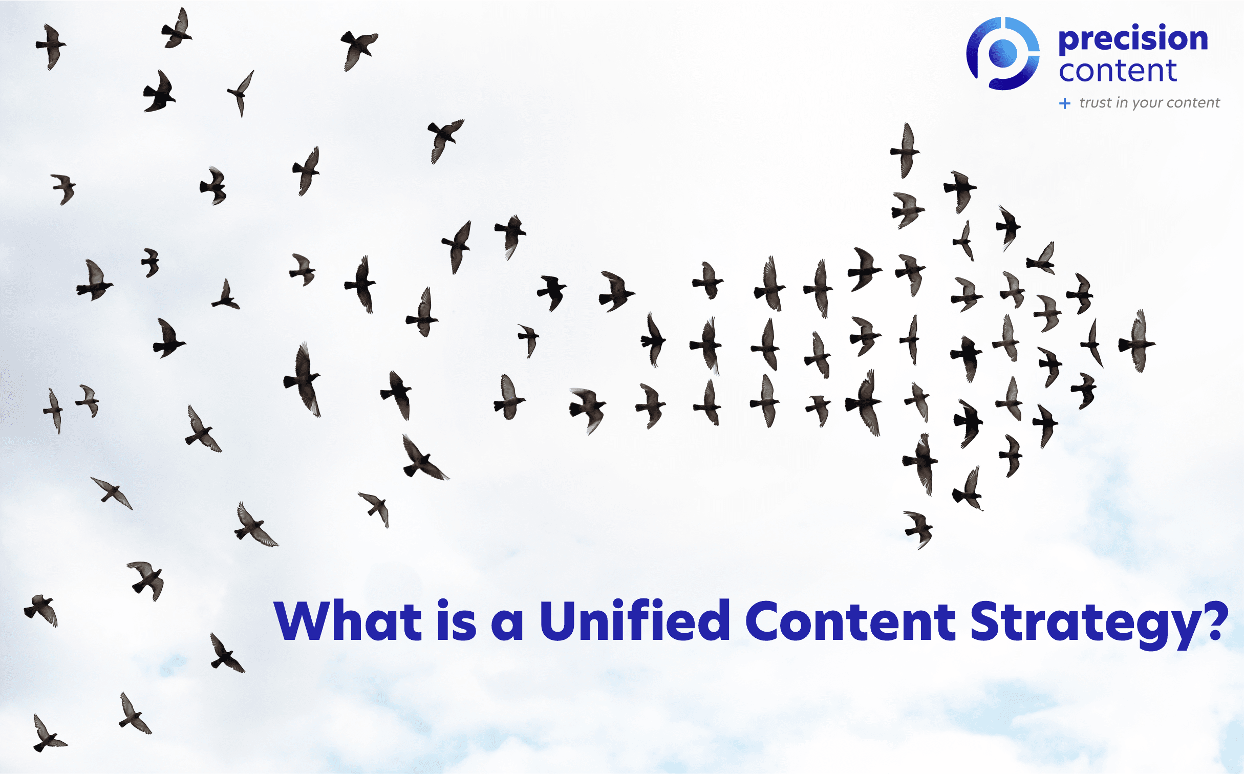 Flock of birds forming into an arrow shape